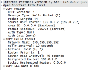 OSPF-Header
